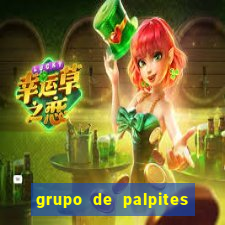 grupo de palpites de futebol telegram